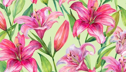pink lily flowers
