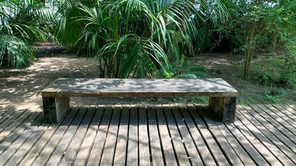 Sun-dappled wooden bench amid lush palms whispers tranquility, fittingly related to Solitude Day and Arbor Week celebrations