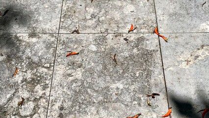 Stone tiles adorned with scattered, fiery petals evoke autumn's whimsical descent and celebrate...