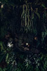 Group background of dark green tropical leaves. Green leaves pattern background. Green leaf texture,