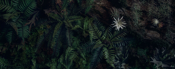 Group background of dark green tropical leaves. Green leaves pattern background. Green leaf texture,