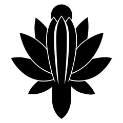 lotus flower isolated on black background