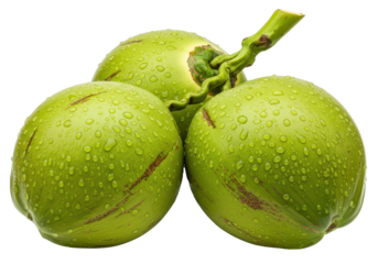 Green coconut bunch with water drops, cut out