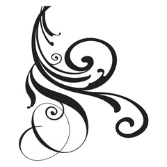 Floral Creative illustration 