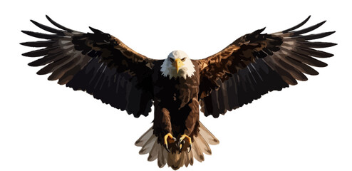 Obraz premium eagle in flight vector