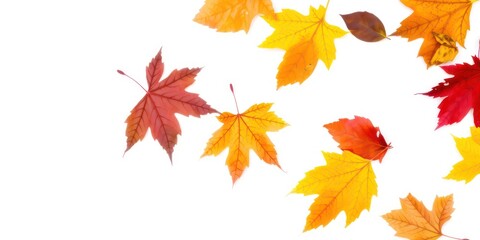 Fototapeta premium Autumn foliage arrangement featuring vibrant red, orange, and yellow leaves against a stark white background.
