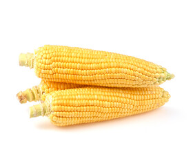 Raw Sweet corn isolated on white background.