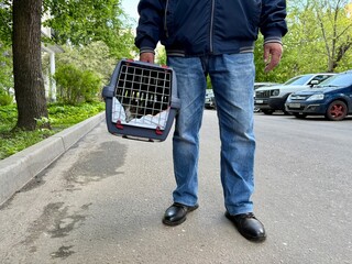 An elderly retired man holds a cat in a carrier. Pet transportation, traveling with a pet. A close friend of an elderly man