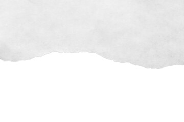 torn piece of paper on a transparent background