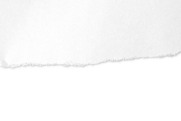 a torn piece of paper on a transparent background
