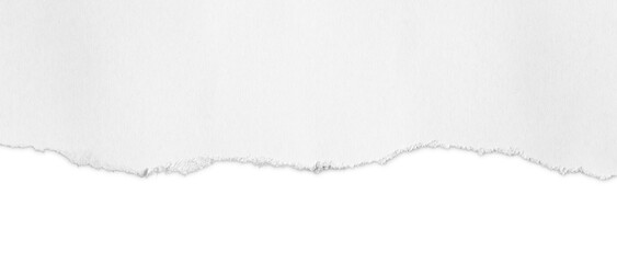 a torn piece of paper on a transparent background