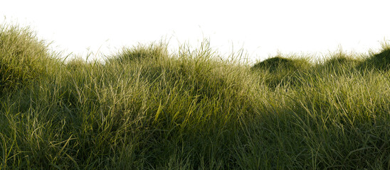 Grassy Field Under Clear Sky. 3D redering.