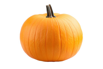 Obraz premium Orange pumpkin with stem, isolated on white background