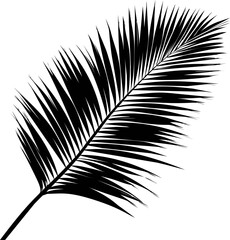 Obraz premium Black silhouette of a palm leaf , nature pattern concept. Vector illustration