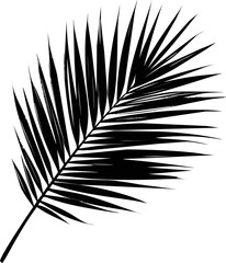 Black silhouette of a palm leaf , tropical nature concept. Vector illustration
