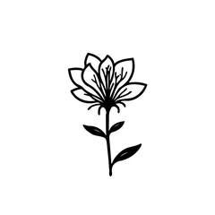 Elegant Floral Illustration: A Delicate Botanical Drawing with Graceful Lines