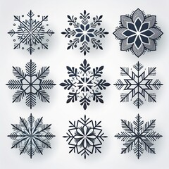Obraz premium set of snowflakes