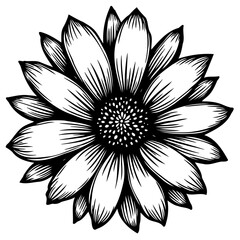 Detailed monochrome botanical illustration of a blooming flower blossom