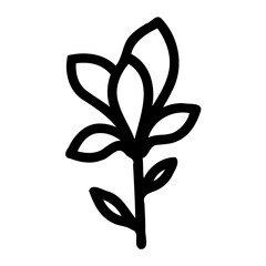 Elegant flower sketch with distinct black lines on a pure white background
