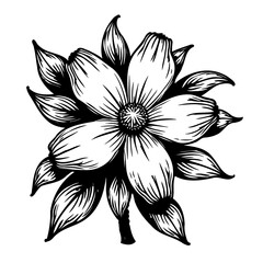Elegant floral design, a stylized monochrome blossom with intricate line work