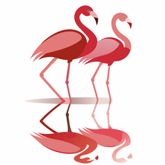 Elegant Flamingo Silhouettes with Water Reflection Minimal Vector Art