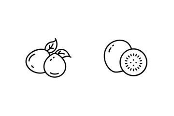 Simple vector illustration of kiwi fruit and oranges with modern black outline design