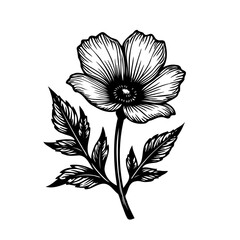 Elegant single blossom rendering with detailed leaves in monochrome style