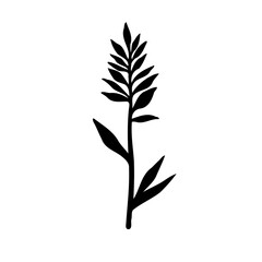 Stylized botanical silhouette showcasing delicate foliate details on a light field