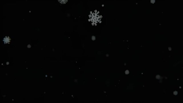 Falling Snowflakes Animated Overlay For Video Editing