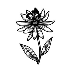 Elegant monochrome floral drawing of a flower with butterfly, simple and artistic design