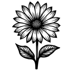 Elegant floral artwork depicting a stylized sunflower blossom in monochrome