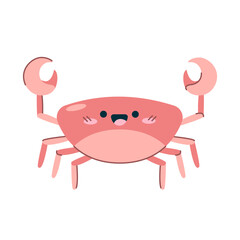 Hand drawn sea animal pink crab