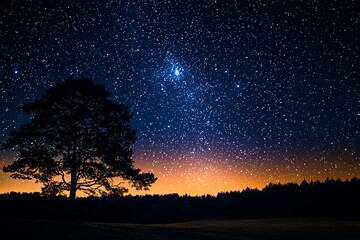 Fototapeta premium Starry night sky with twinkling stars and distant galaxies, perfect for celestial-themed designs and space-inspired projects.