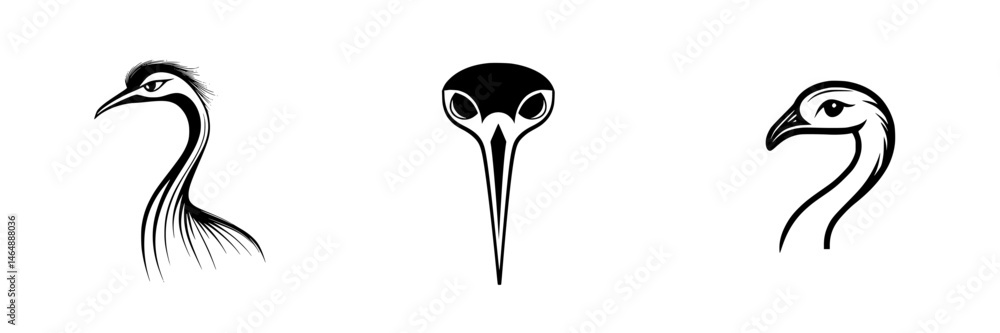 Poster vector illustration icons of various bird head profiles showcasing distinct features and styles