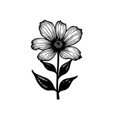Detailed floral illustration with minimalist design elements for diverse creative applications