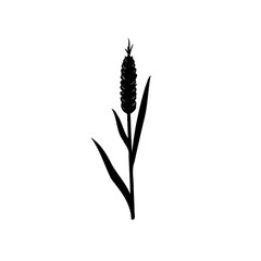 Minimalist depiction of a plant with elongated leaves in stark monochrome
