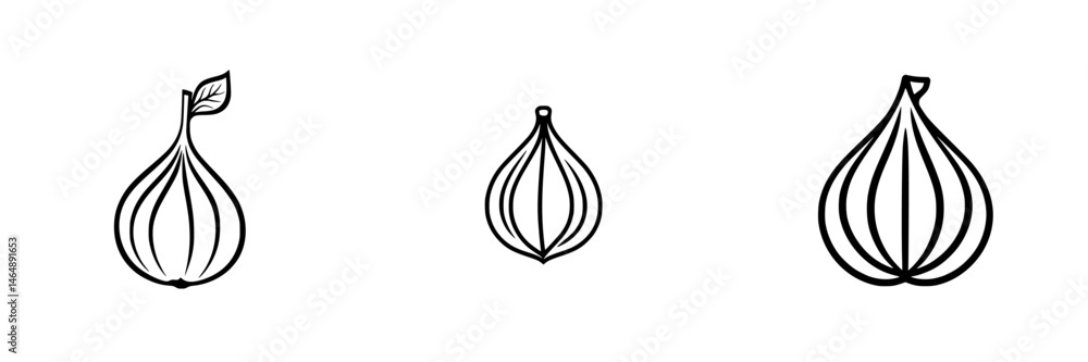 Poster vector illustration of three distinct onion shapes highlighting their unique features and styles