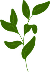 Green leaf hand-drawn cartoon-style drawing.