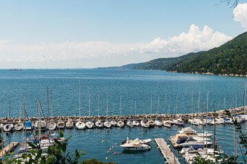Mussel aquaculture in the Gulf of Trieste near Miramare Castle