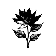 Monochrome floral illustration showcasing symmetrical bloom and foliage, artistic design