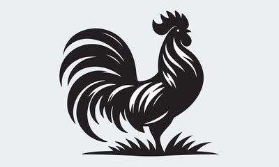 Proud Rooster Silhouette Standing on Grass.