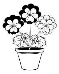 flower in a pot
