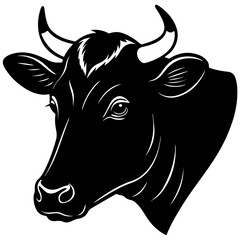black and white cow