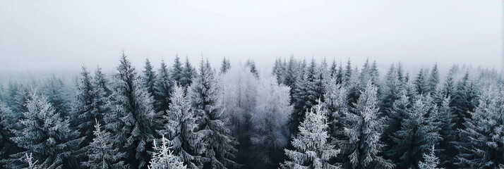 Enchanted frost-kissed forest awakens amidst winter's whispering, evoking Yule log magic and Nordic winter solstice serenity