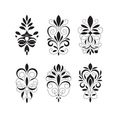 A set of black and white floral design elements showcases ornate vector illustrations of flowers and leaves, perfect for vintage decoration