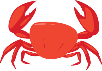 Ocean Crab Illustration