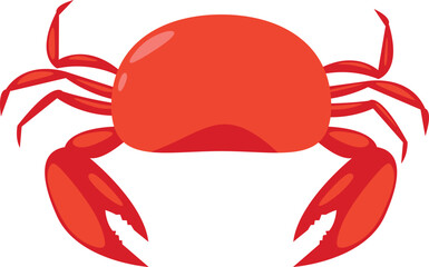 Ocean Crab Illustration
