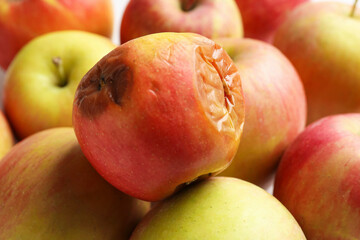 Rotten apple and fresh ones on white table, closeup