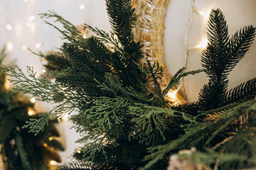 Holiday decorations featuring evergreen branches and warm lights in a cozy setting