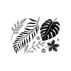 Obraz premium vector illustration of a flower